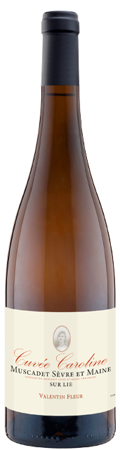 Achat Muscadet Caroline 2016 en ligne