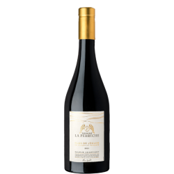 Saumur Champigny Clos de l'Eglise | Domaine la Perruche | Loire Vins