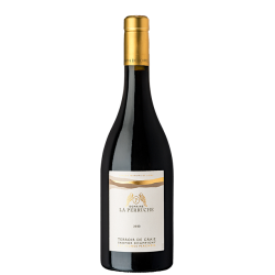 Saumur‑Champigny Terroir de Craie 2023 du Domaine La Perruche