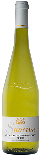 Achat Muscadet Sancive Cotes de Grandlieu sur Lie 2022 en ligne