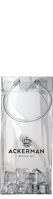 Achat Ice Bag Ackerman en ligne