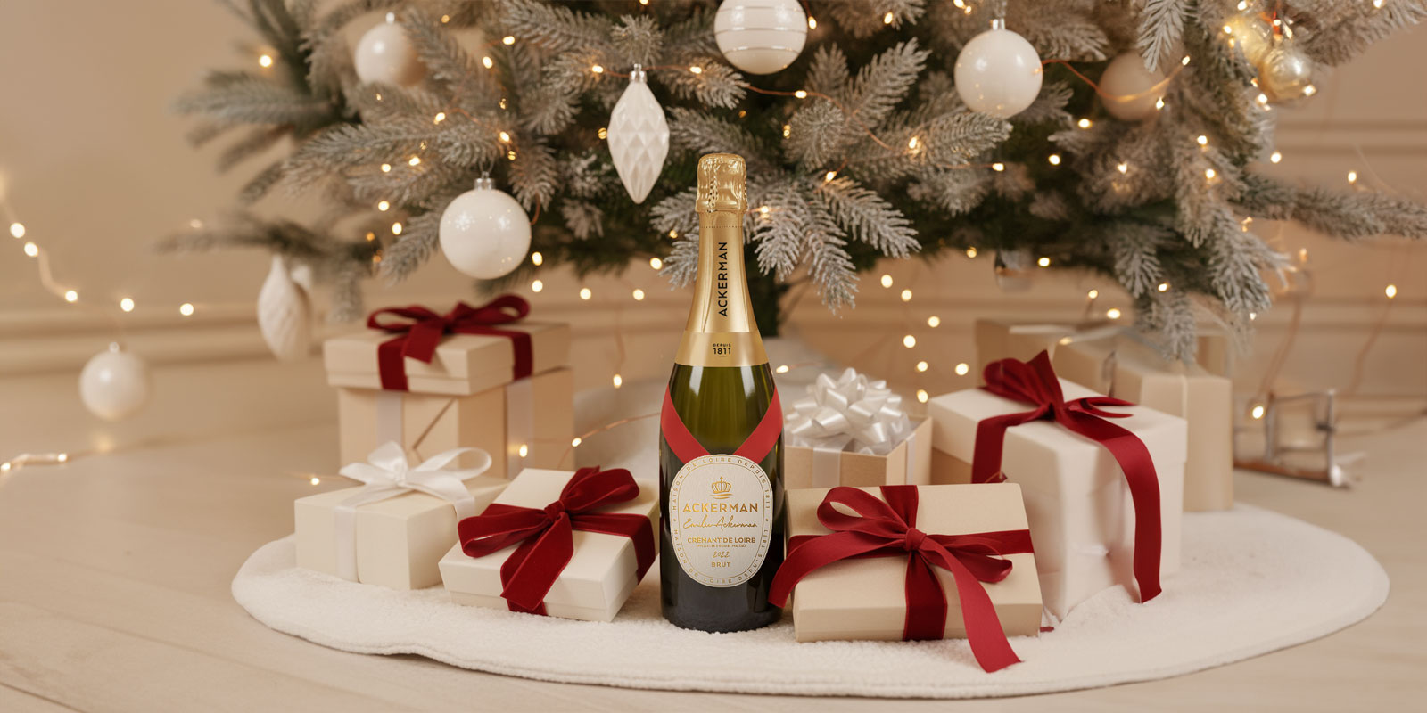 Ackerman Noel Slide background