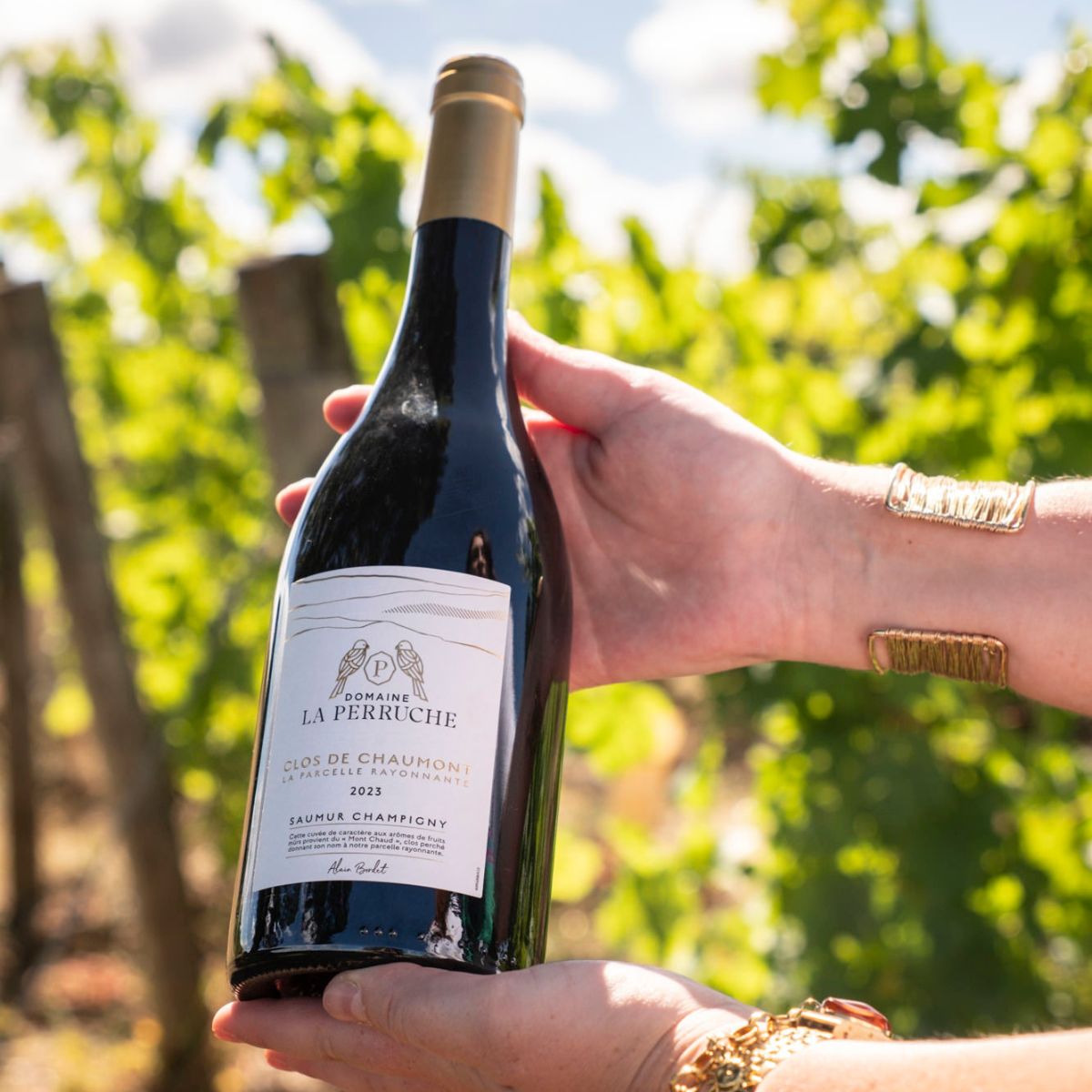 Bouteille de Saumur-Champigny