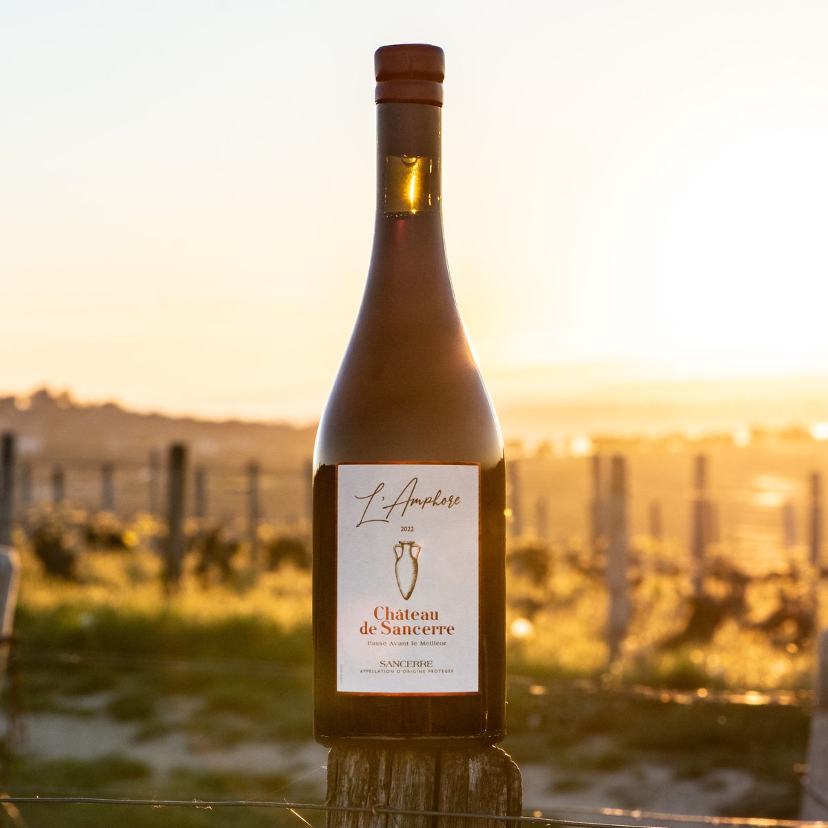 Bouteille de Sancerre rouge