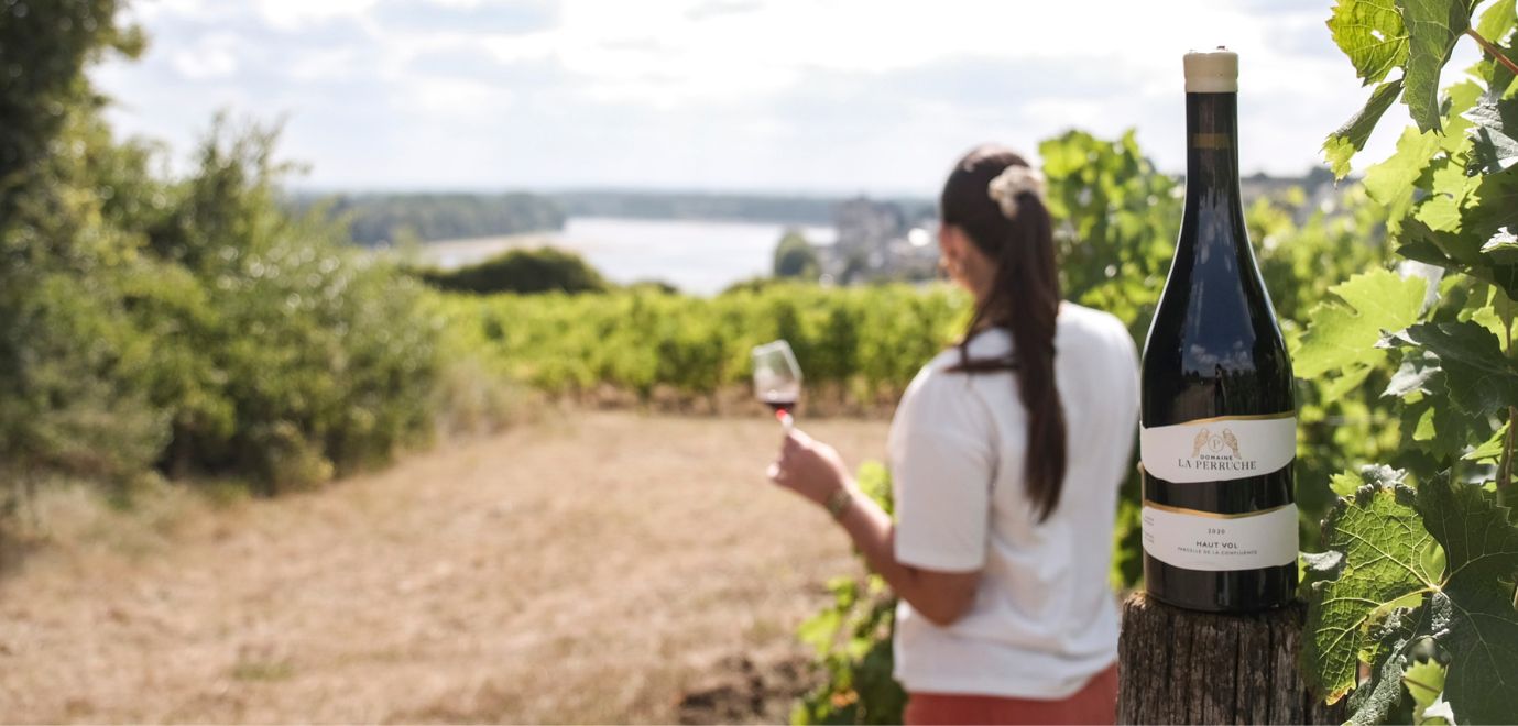Nos vins rouges