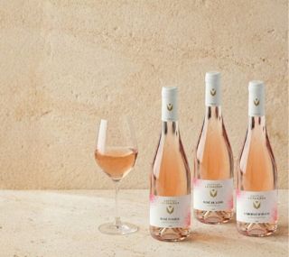 ROSES 2025 Crémant de Loire Ackerman