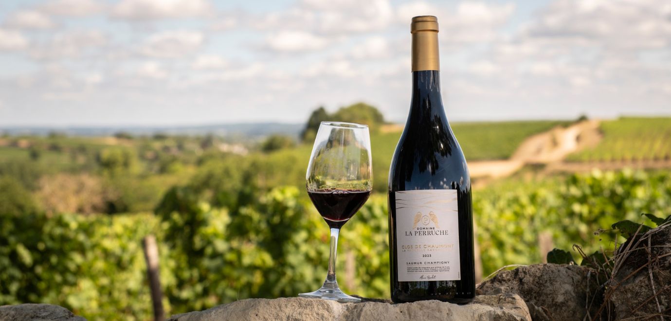 Quel est le meilleur vin de Loire rouge ? Notre guide complet