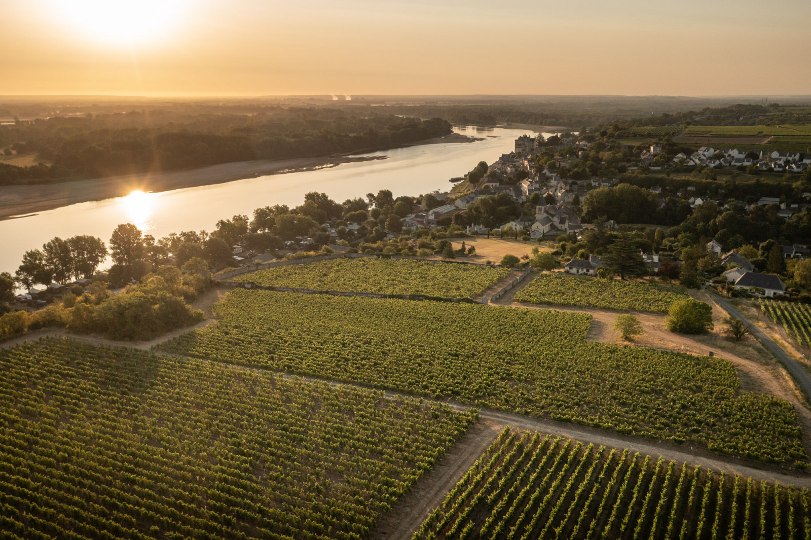 Foire aux vins d'automne 2022 - Sancerre, Ackerman et plus