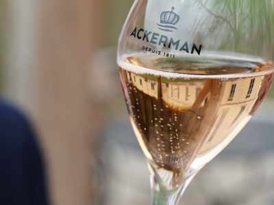 Meilleur Crémant de Loire : guide pour choisir un vin effervescent d'exception
