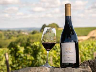 Quel est le meilleur vin de Loire rouge ? Notre guide complet