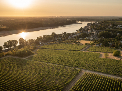 Foire aux vins d'automne 2022 - Sancerre, Ackerman et plus